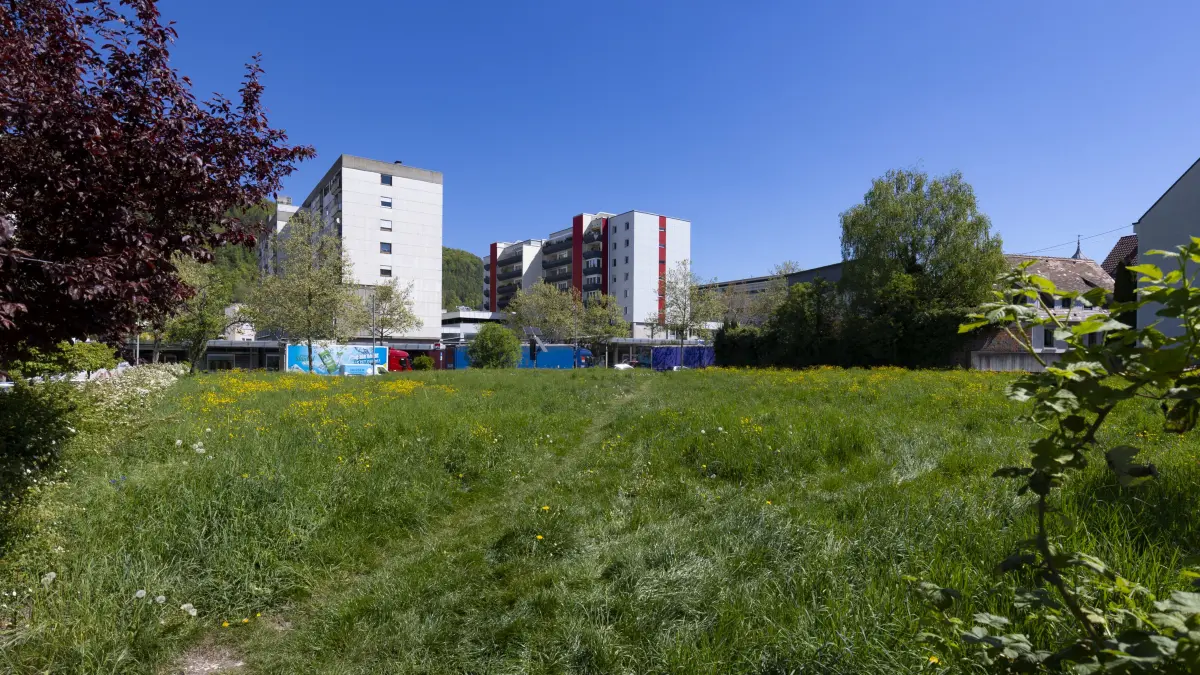 Sternplatz Geislingen, unbebauter Platz, Wiese