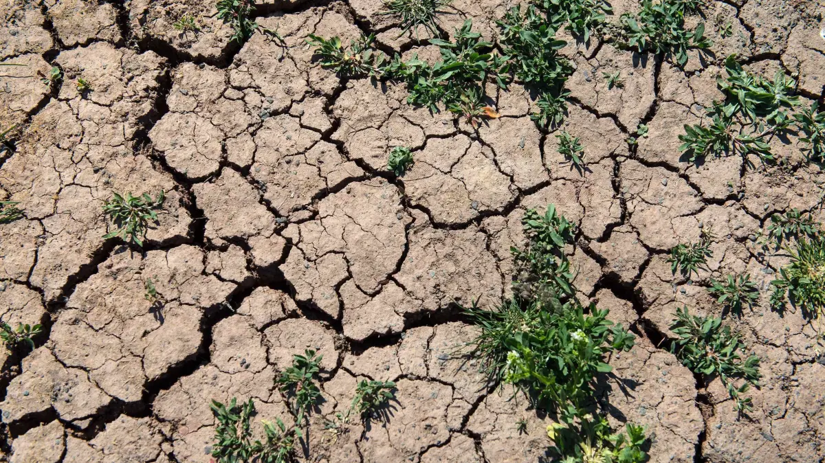 Klimabericht zu Europa: Ein Kontinent im Ausnahmezustand: Ausgetrockneter Boden im Fruehling in Hessen (Foto vom 26.04.2020). Hohe Temperaturen, schmelzende Gletscher, Rekorde bei Waldbraenden: Die Klimakrise hat Europa fest im Griff. Auch kaeltere Regionen heizen sich auf. Kein Kontinent erwaermt sich so schnell wie Europa - und die Folgen des Klimawandels sind deutlich zu spueren. Zu diesem Schluss kommt der Europaeische Klimazustandsbericht, der am Mittwoch veroeffentlicht wurde. Der Bericht bestaetige, dass sich Europa seit 1980 zweimal so schnell wie der globale Durchschnitt erwaermt habe, "was Europa zum sich schnellsten erwaermenden Kontinent der Welt macht", sagte die Generalsekretaerin der Weltwetterorganisation (WMO), Celeste Saulo bei einer Pressekonferenz. Hitzewellen traeten haeufiger auf und sie wuerden staerker. Insbesondere in Suedeuropa haetten Duerren Waldbraende befeuert. "Gletscher in allen europaeischen Regionen sind weiter geschmolzen."
(Siehe epd-Bericht vom 29.04.2026)