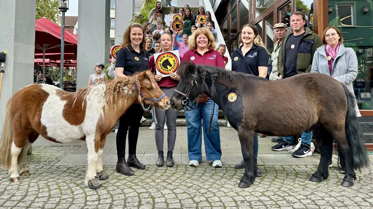 Reitharmonie Reutlingen Rathaus Pferdesteuer Ponys Pony
