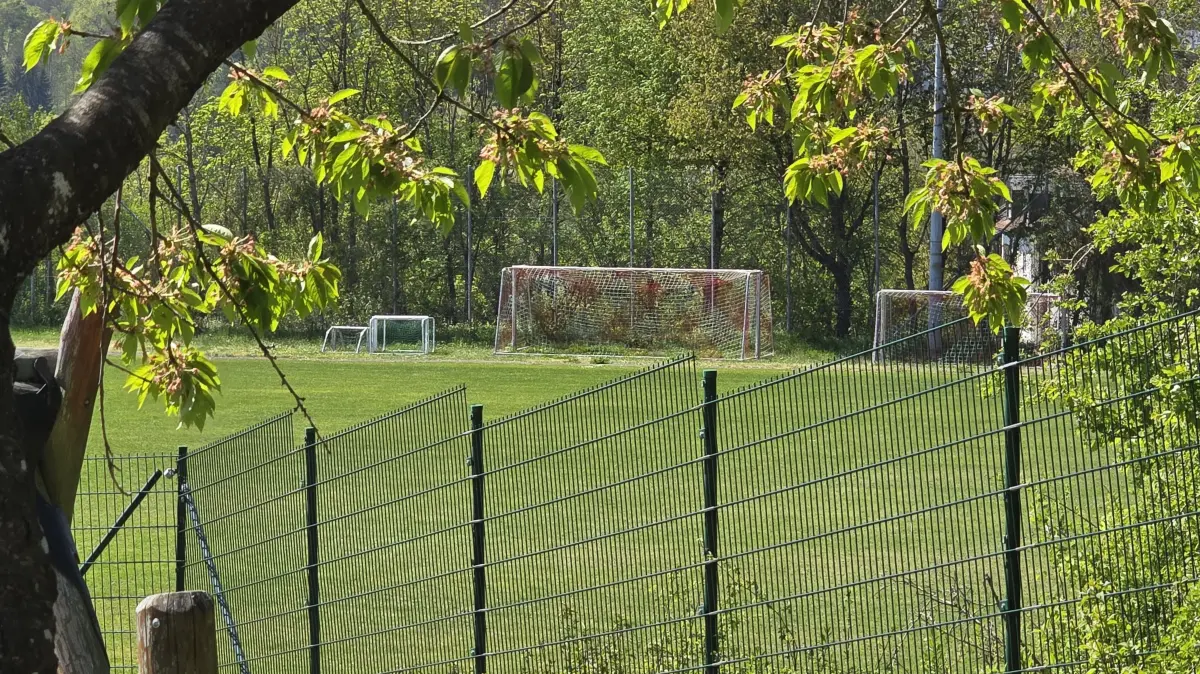 Wo Jugendliche Fußball spielen, auf dem Jahnsportplatz in Blaustein, könnte ein neues Wohngebiet entstehen. Dies war Thema im Gemeinderat in Blaustein.