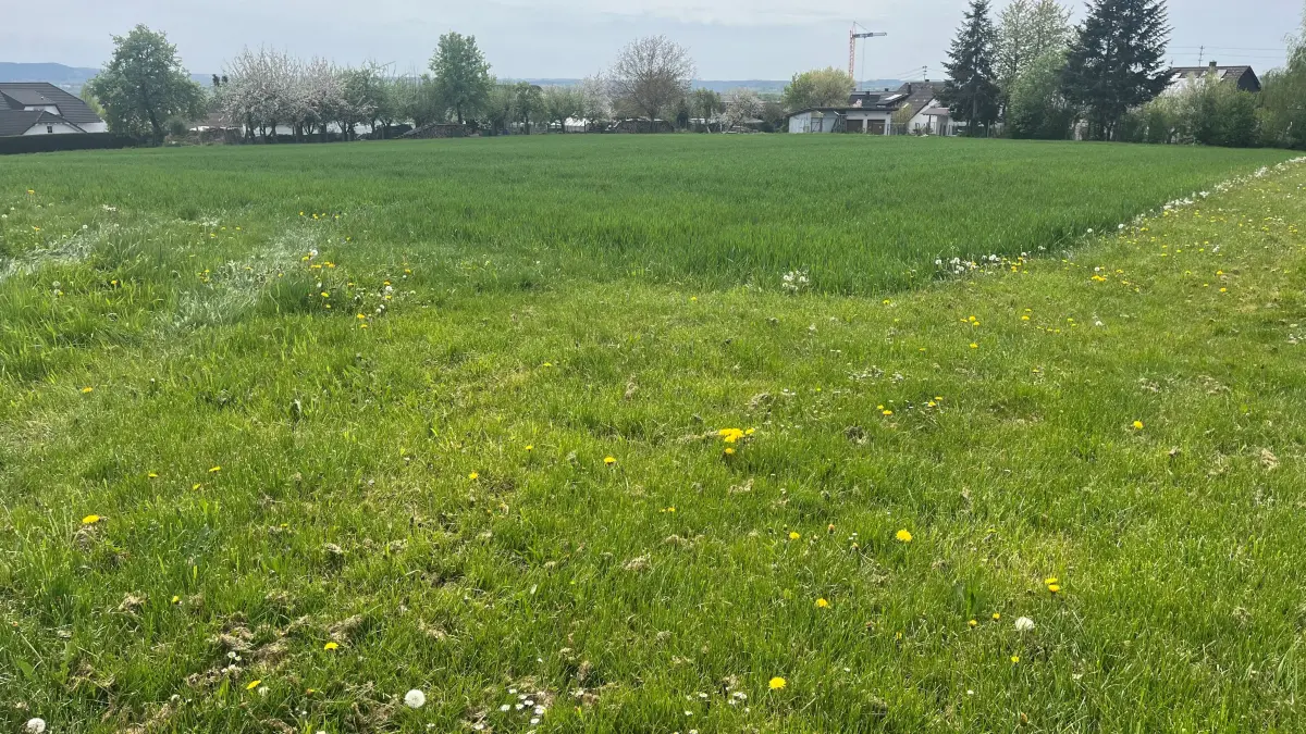 Bauplatz Julius-Bauser-Straße Empfingen