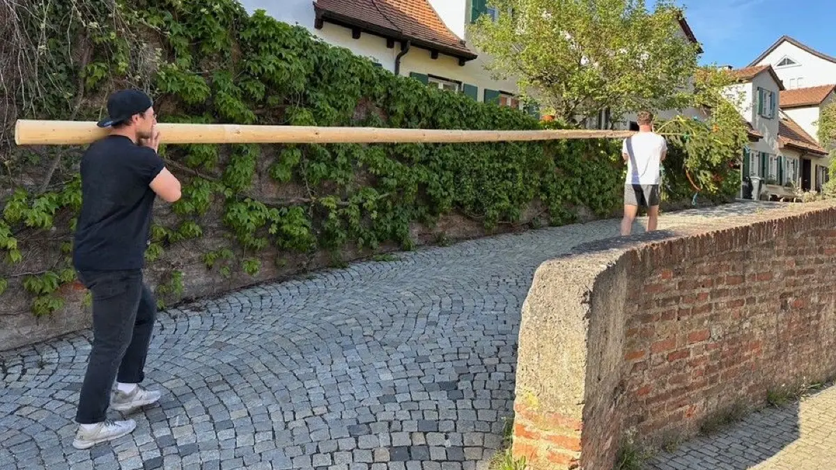 Männer beim Maibaumaufstellen in Ulmer Innenstadt.