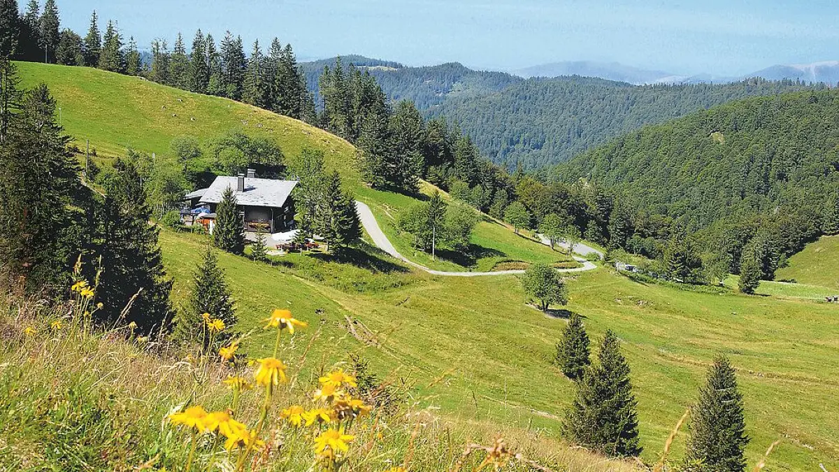Eingebettet in den Schwarzwald bietet die Krunkelbachhütte auf 1.294 Metern regionale Gerichte.