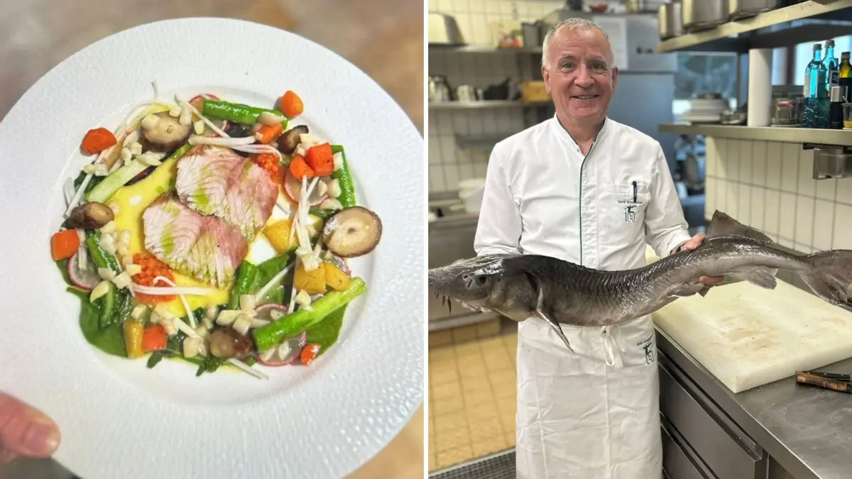 Die Störe, die bei Gerd Windhösel im Restaurant Hirsch auf dem Teller landen, sind noch Jungtiere. Ausgewachsen können sie bis zu drei Meter groß werden.