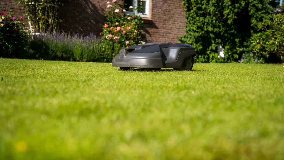 Ein Mähroboter fährt auf Rasen im Garten: ILLUSTRATION - Mähroboter können für kleine Tiere gefährlich sein – daher nur mit Vorsicht und unter Aufsicht einsetzen. (zu dpa: «Weniger Schnitt, kein Roboter: So geht schonendes Rasenmähen») Foto: Benjamin Nolte/dpa-tmn - Honorarfrei nur für Bezieher des dpa-Themendienstes +++ dpa-Themendienst +++