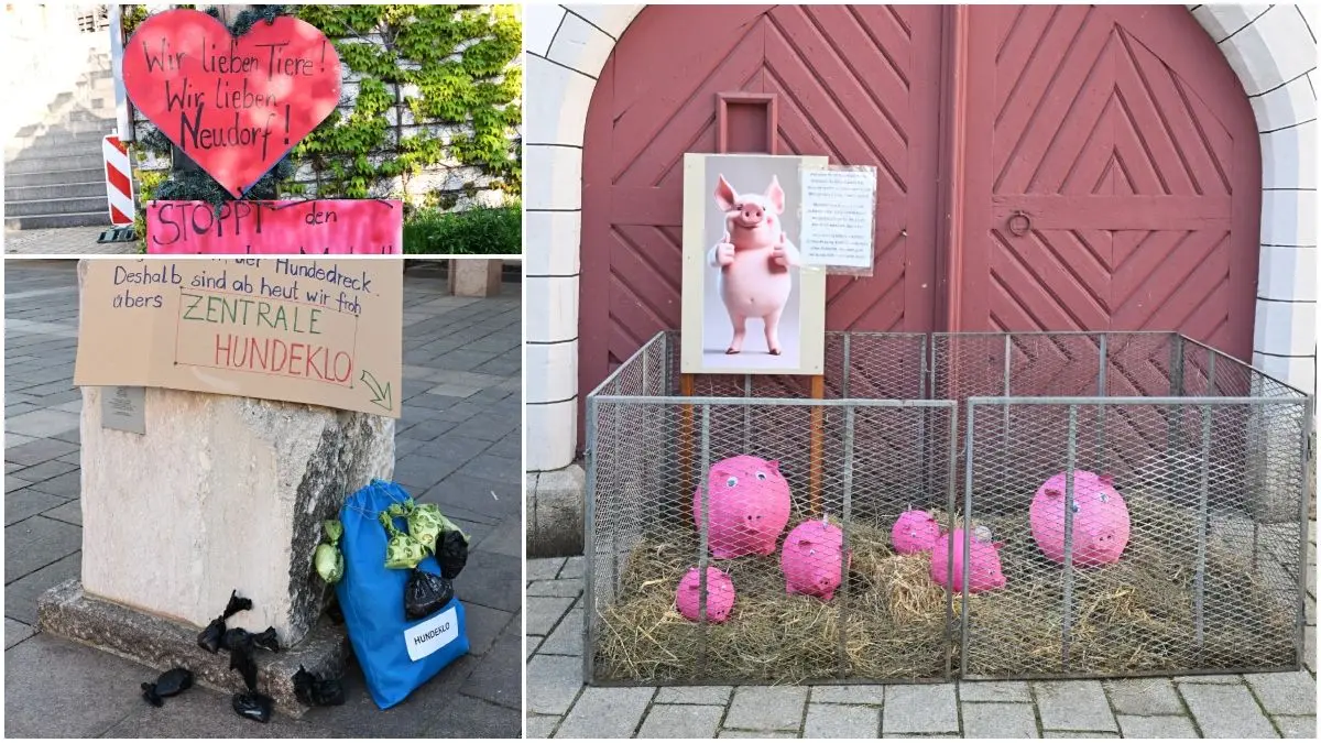 Unter anderem in Rottenacker, Schelklingen und Munderkingen waren an zentraler Stelle Maistreiche zu aktuellen Themen zu sehen. Aber auch in anderen Orten waren die Bürger kreativ.