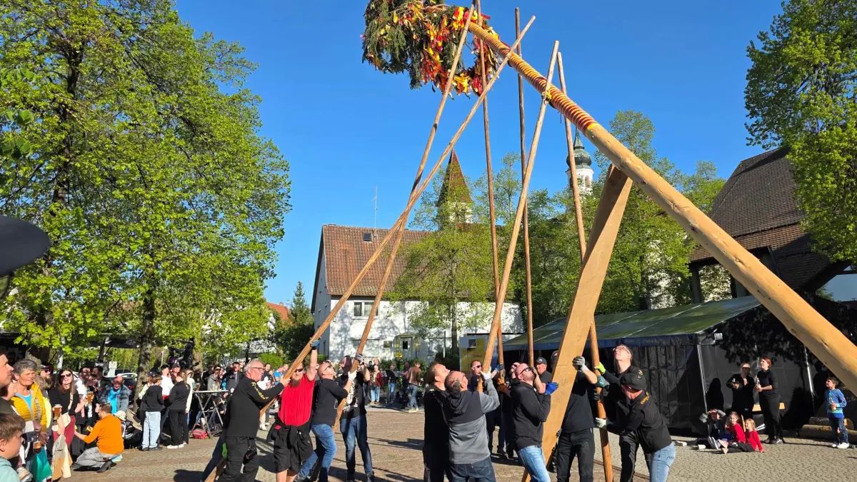 Maibaum Bisingen