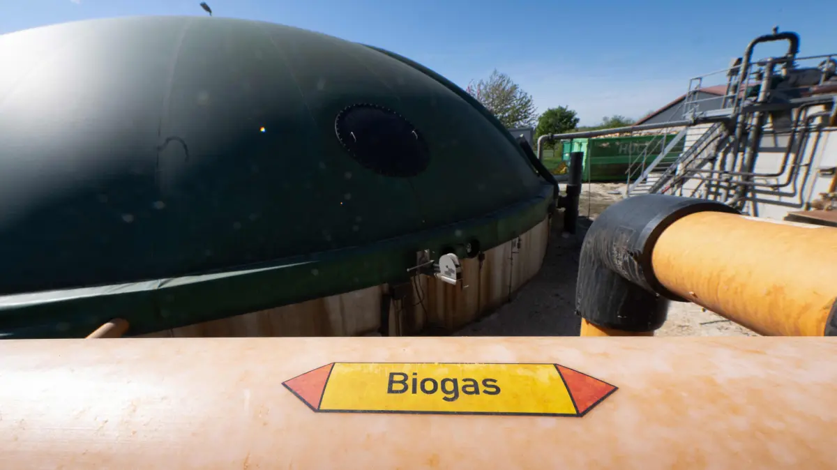 The label 'Biogas' is seen on a pipeline of a fermentation plant in Bermaringen, southwestern Germany, on April 29, 2026. The farmer runs a fermentation plant with the animals’ slurry and plant materials and produces renewable energy for his farmstead. (Photo by THOMAS KIENZLE / AFP)