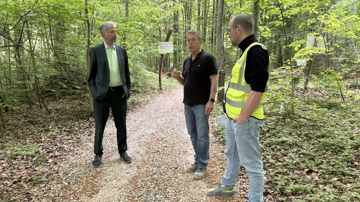Boris Palmer, Manuel Rongen und Tobias Staufenberg (von links) besichtigten das Gelände des Natursteinparks, unter anderem den geologischen Lehrpfad.