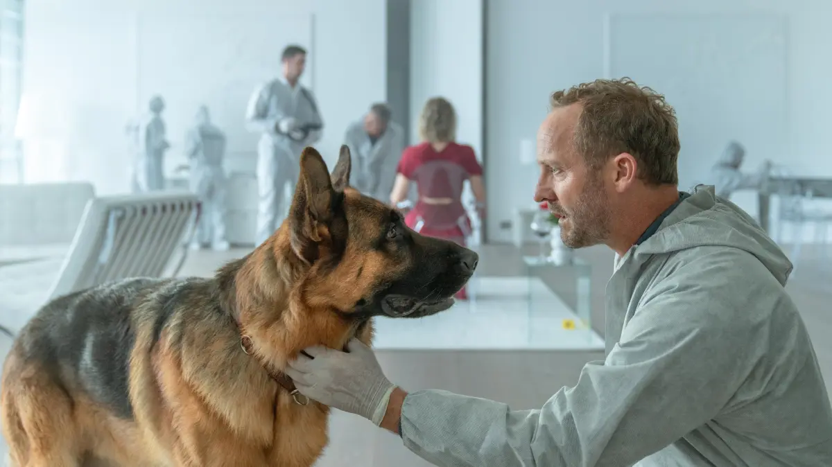 Am 18. Mai 2026 geht „Kommissar Rex“ auf Sat.1 weiter.