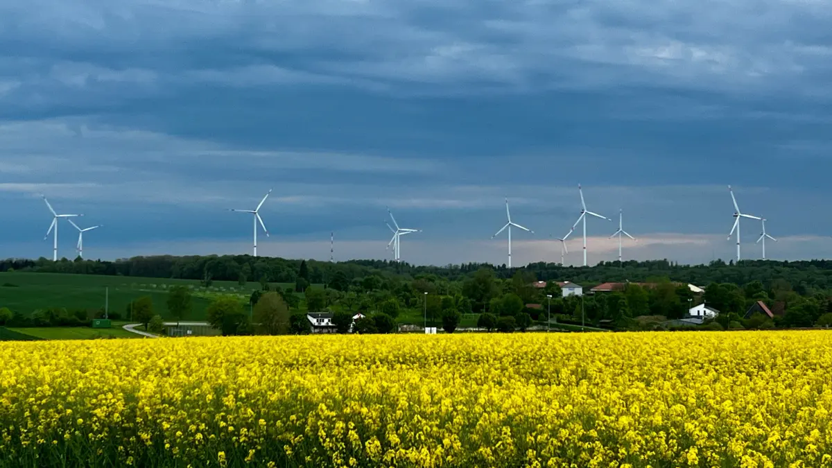 Der Stiftungsbeirat der Stiftung des Windparks Brüchlinger Wald übergibt die Förderbescheide. Die Jagdhornbläser Langenburg der Jägervereinigung Crailsheim umrahmt den Abend.