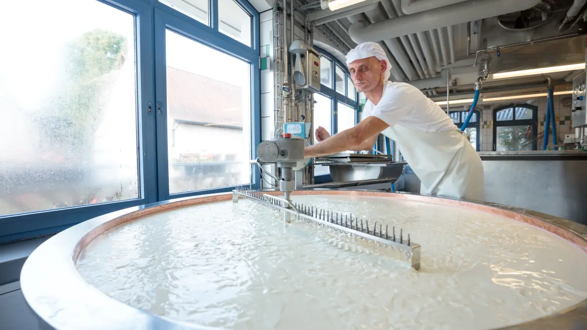 Robert Hütter ist Käsermeister in der Dorfkäserei Geifertshofen. Bei der Käseherstellung ist nach wie vor viel Handarbeit gefragt.