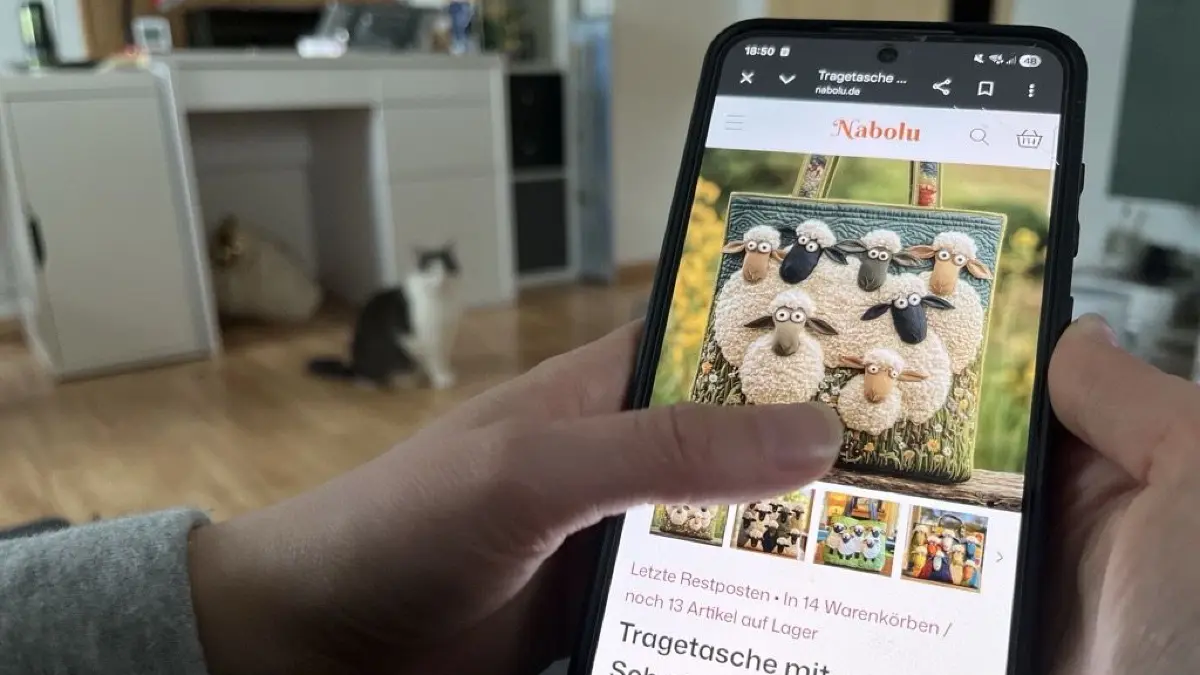 Fake-Shop Nabolu auf Handy