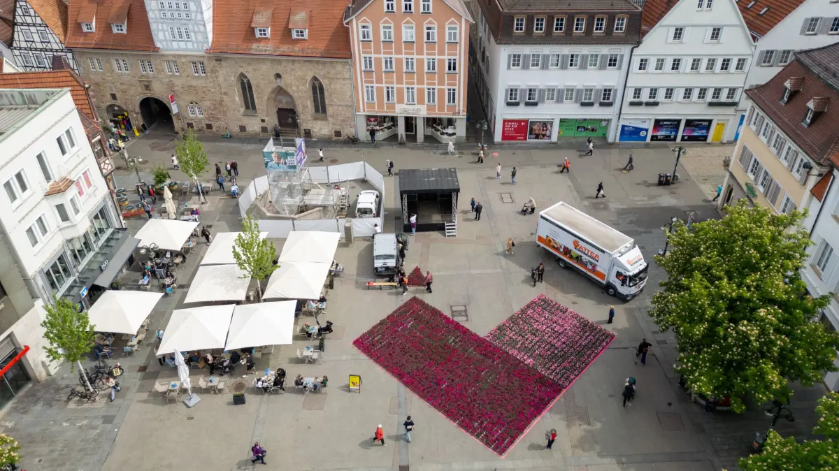Imagekampagne: Neues Reutlinger Logo mit 8000 Blumen auf dem Marktplatz.
