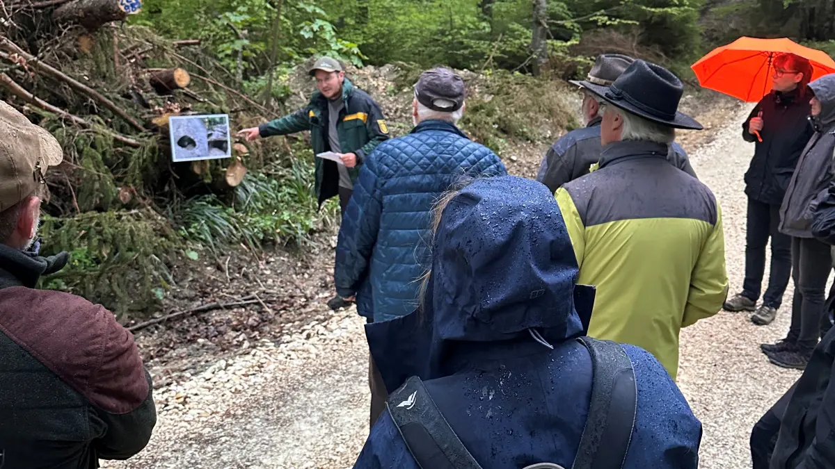 Förster Frieder Siegl erklärt beim Waldbegang in Obernheim das Thema Wegeunterhaltung.