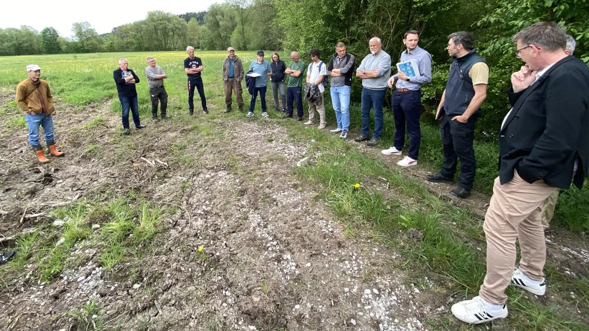 Rot-Aue: Brutplatz für Kiebitz vs. Lebensraum für Strömer