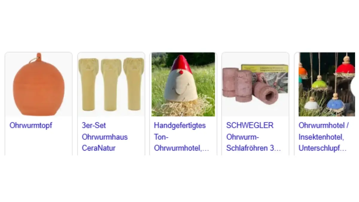 Screenshot einer Suche nach Ohrwurmhotels