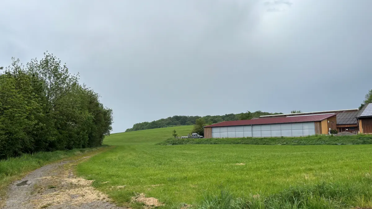 Auf dem Acker an der Schindelhalde sollen um 1700 Tiere verbrannt und verscharrt worden sein.