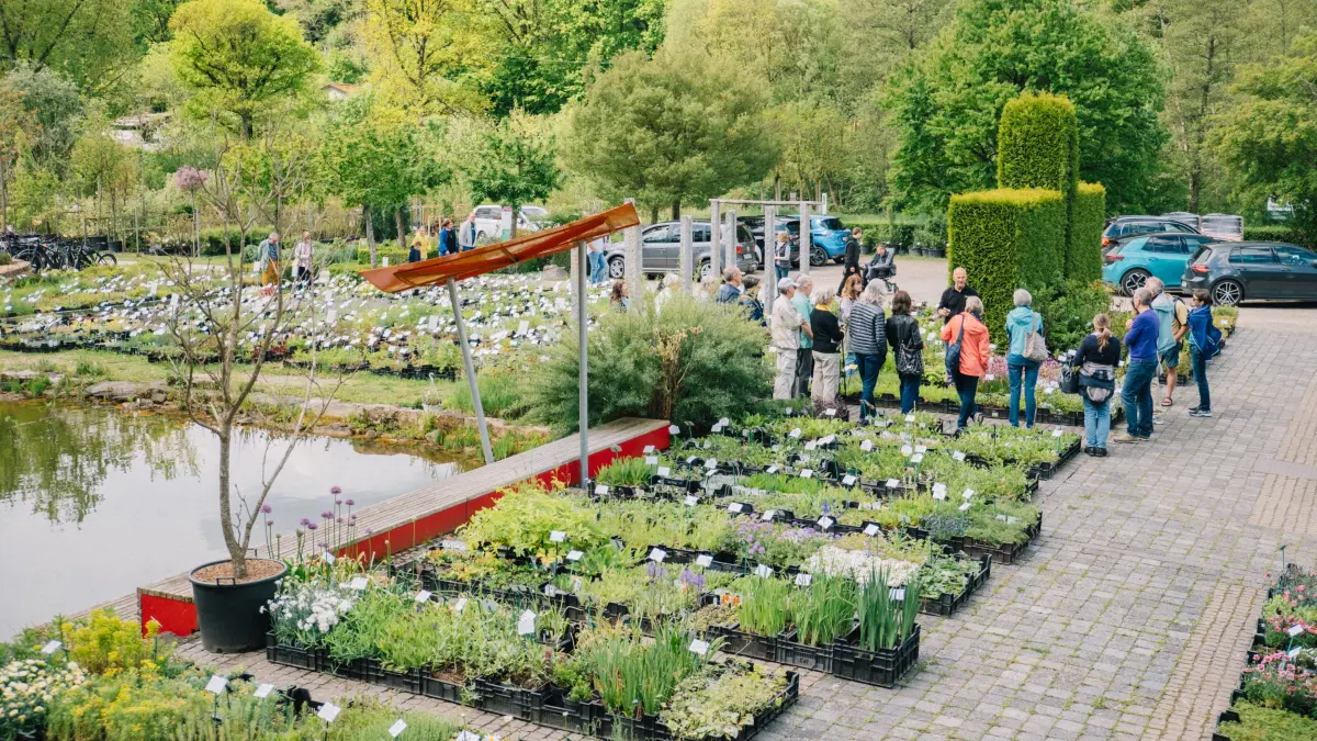 In den Gewächshäusern und im Hofladen gibt es vielfältige Pflanzen und Produkte rund um den Gartengenuss. Die Schau- und Azubibaustellen bieten während des Frühlingsfests spannende Einblicke.