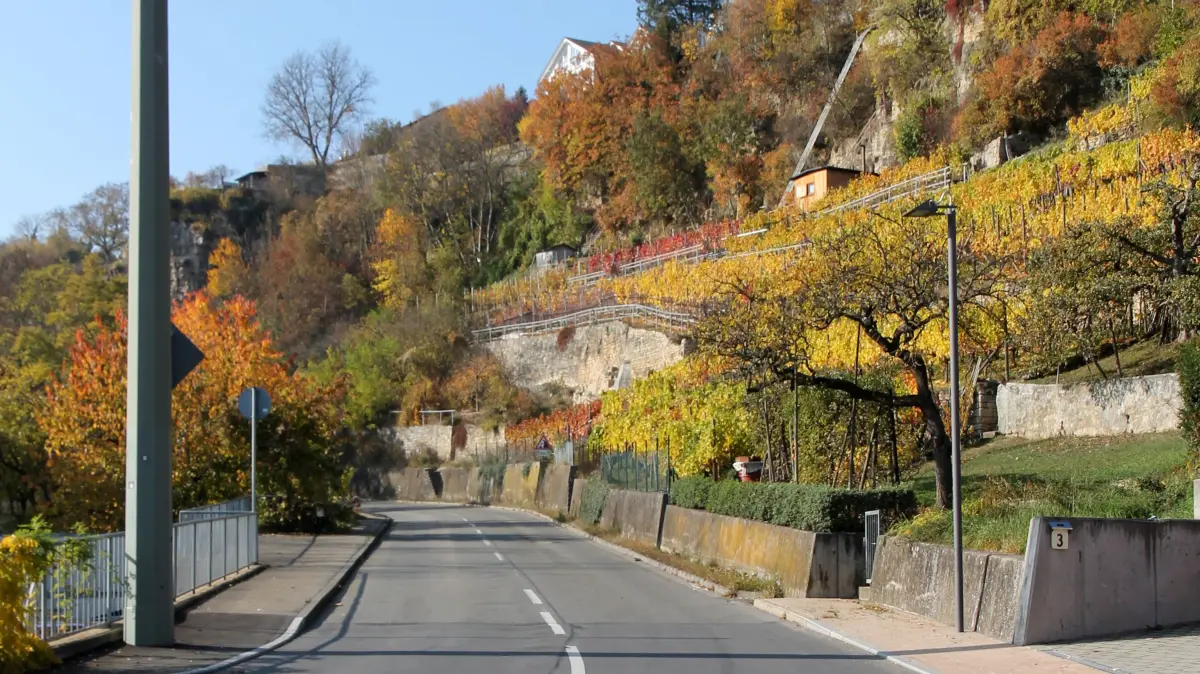 (ohne Überschrift): Vorsicht: Dieses Foto ist möglicherweise nur für den einstigen Verlag Schwäbisches Tagblatt verwendbar. Rottenburg, Herbst an der Remmingsheimer Steige. 2015-10-26, Bild: Fleischer