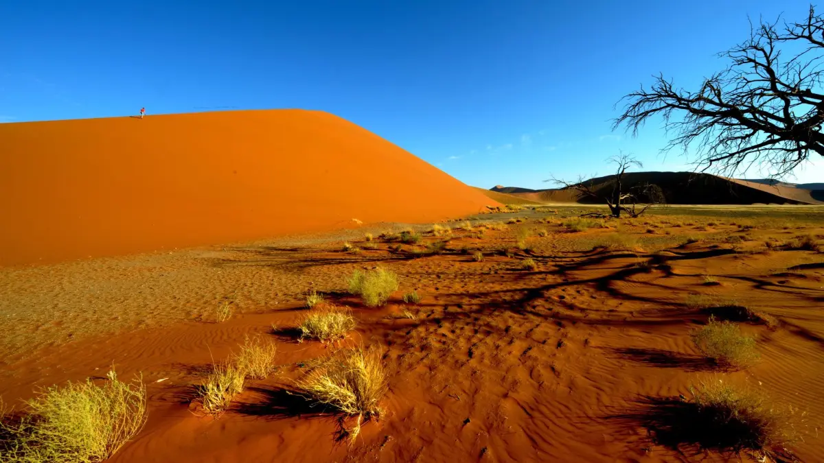 Sanddünen in Sossusvlei: ARCHIV - 25.03.2013, Namibia, Sesriem: ARCHIV - Dünen in Sossusvlei nahe Sesriem im Namib Naukluft Park (Namibia), aufgenommen am 26.03.2013. Foto\ Ralf Hirschberger/dpa +++(c) dpa - Bildfunk+++ (zu dpa: «Drei Deutsche bei Flugzeugabsturz in Namibia getötet») Foto: Ralf Hirschberger/dpa +++ dpa-Bildfunk +++