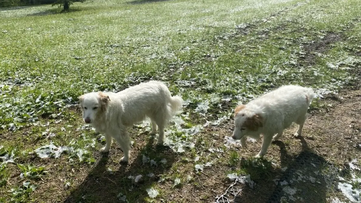 Ein wenig Schnee im Killertal: Beim frühen Spaziergang stört er nicht.
