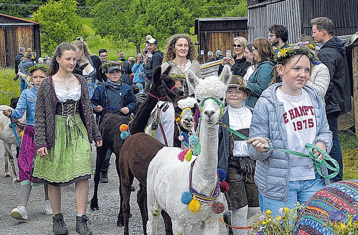 Ein Bild vom letztjährigen „Almauftrieb“, der am Pfingstmontag zum dritten Mal stattfindet.