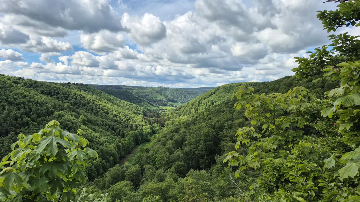 Aussicht vom Lauereckfels in Richtung Bad Urach.