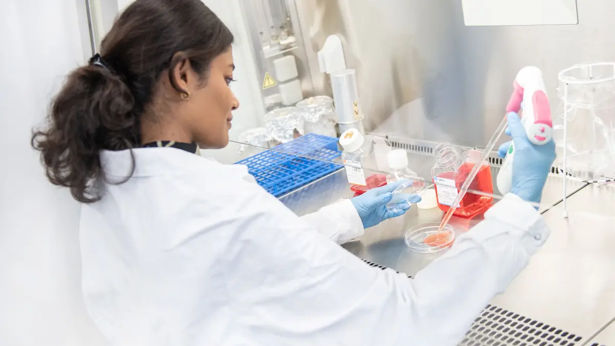 Uni Ulm Wissenschaftlerin Alterforschung