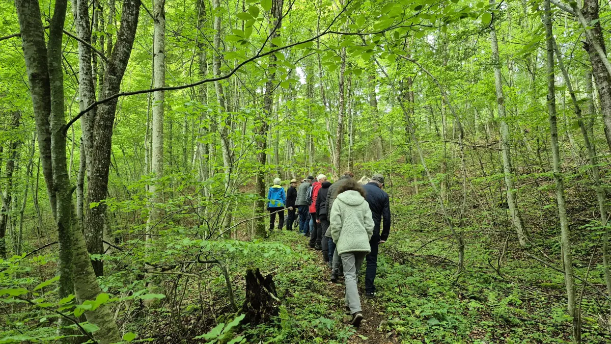 Ein Teil des Walls führt auch durch einen dichten Wald.