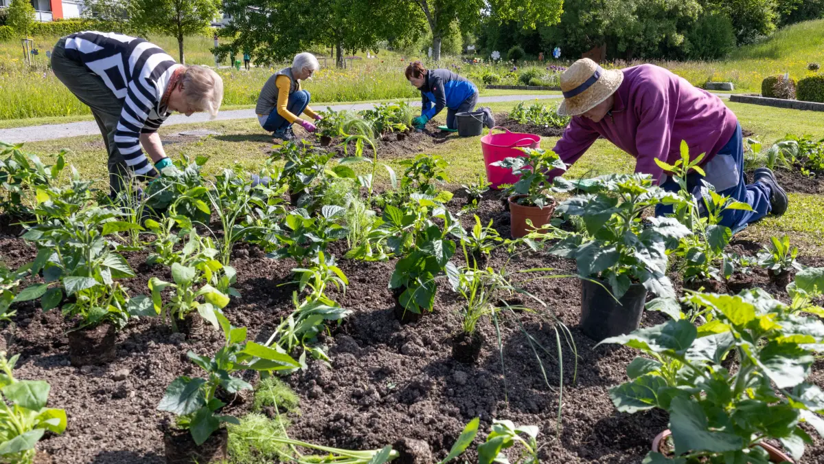 Rechberghausen Pflanzaktion im Landschaftspark "Grüne Mitte"