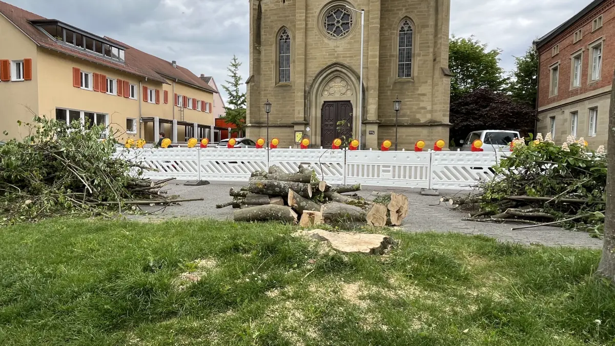 In der Kirchgasse in Rottenburg wurde gegenüber der evangelischen Kirche eine marode Buche gefällt