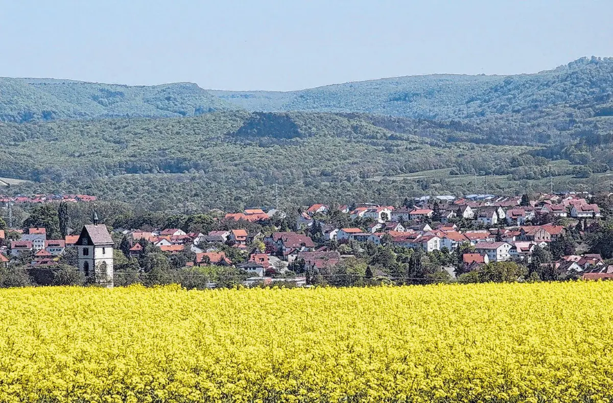 Dußlingen ist umgeben von der Schwäbischen Alb und dem Landschaftsschutzgebiet Rammert. ⇥Fotos: Gemeinde Dußlingen