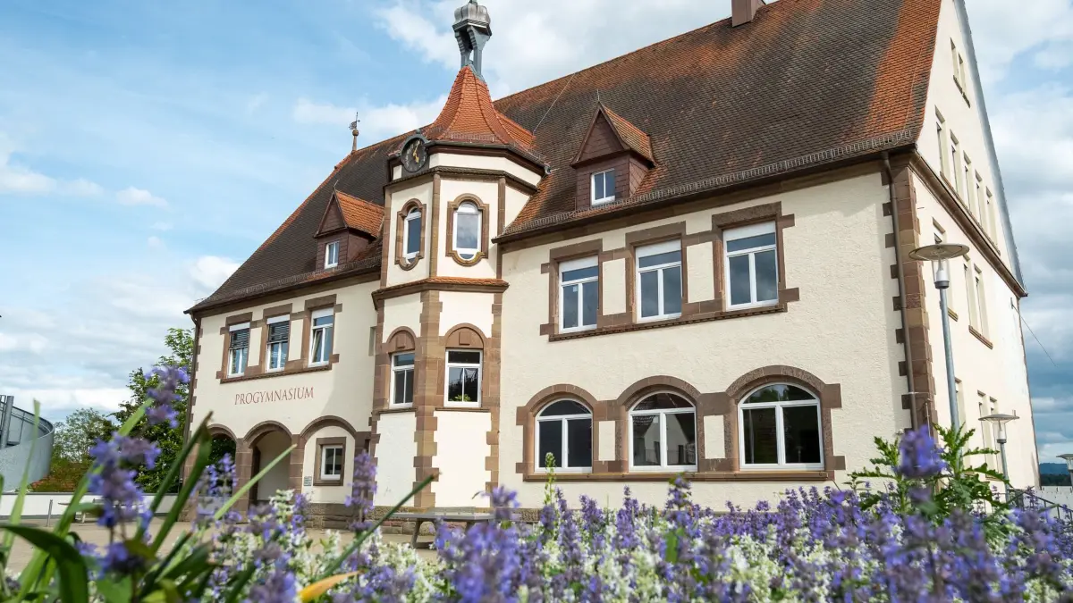 Progymnasium Rosenfeld Gymnasium Schule