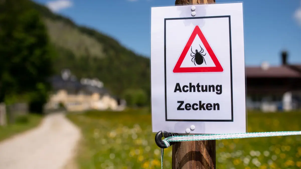 Achtung Zecken: ARCHIV - 01.06.2020, Bayern, Kreuth: Wer so ein Schild beim Wandern sieht, sollte sich am Abend besonders gut nach Zecken absuchen. (zu dpa: «Mehr als 500 Menschen in Bayern durch Zecken erkrankt») Foto: Sven Hoppe/dpa +++ dpa-Bildfunk +++