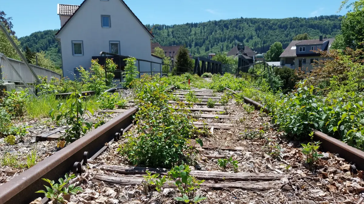 Über den aktuellen Stand der Dinge in Sachen Talgangbahn referierten Projektverantwortliche im Gemeinderat.