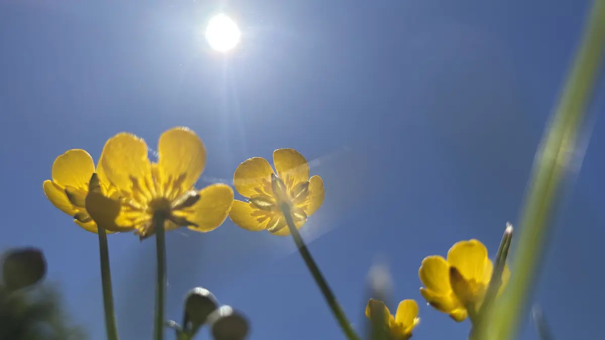 Sonne und strahlend blauer Himmel im Zollernalbkreis