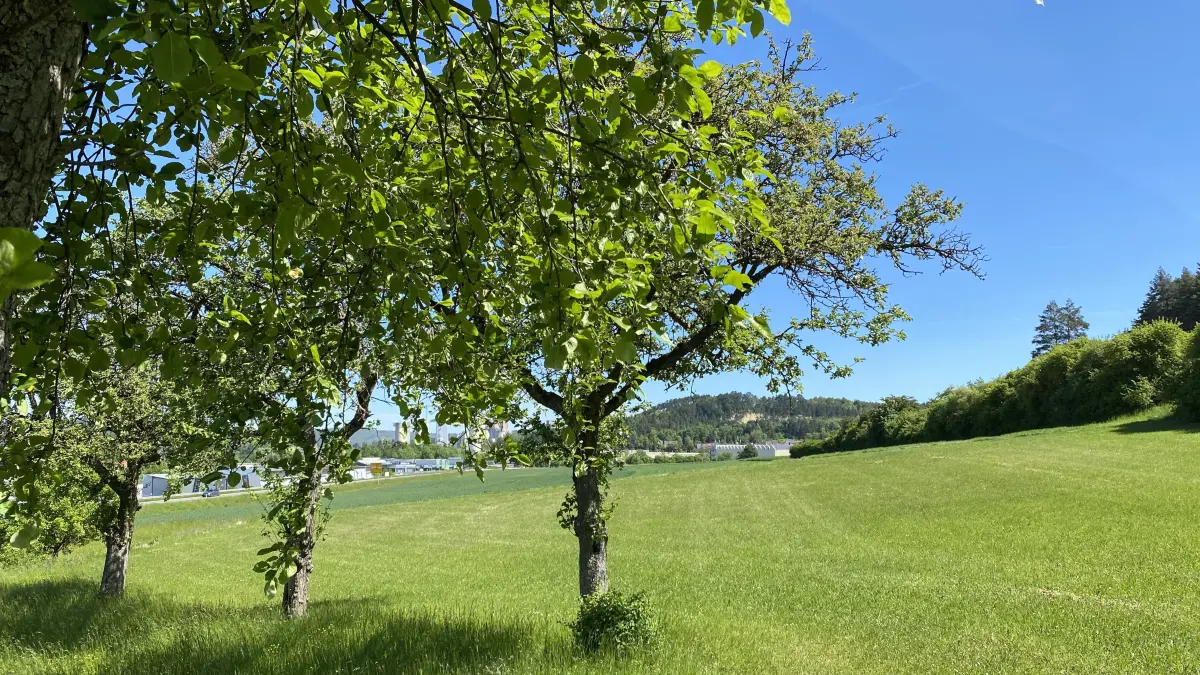 Gewerbegebiet Allmendingen Schwenksweiler