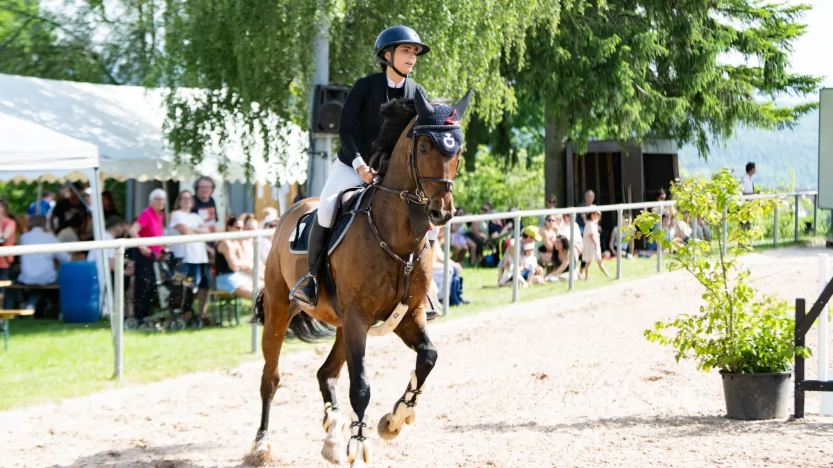 Lustnauer Reitturnier RTV Pfingst Springreitturnier, Springen Kl. K, Siegerrunde, 16:15, 2026, 24.05.2026: Lustnauer Reitturnier RTV Pfingst Springreitturnier, Springen Kl. K, Siegerrunde, 16:15, 2026, 24.05.2026
Eibner-Pressefoto/Andreas Ulmer