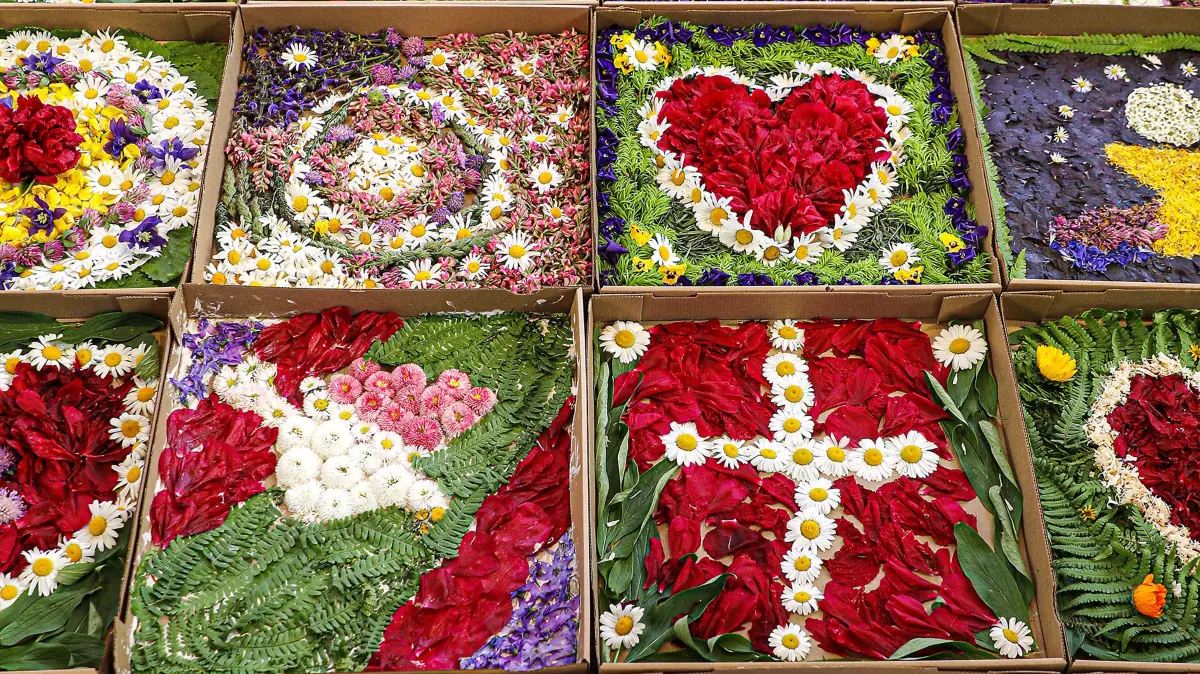 Fronleichnam 2021, Bühlertann. Blumenteppich in Pizzakartons, Pfarrer Rolf Kurz auf der Leiter fotografiert, Aufnahme am 3.6.2021: Fronleichnam 2021, Bühlertann. Blumenteppich in Pizzakartons, Pfarrer Rolf Kurz auf der Leiter fotografiert, Aufnahme am 3.6.2021
