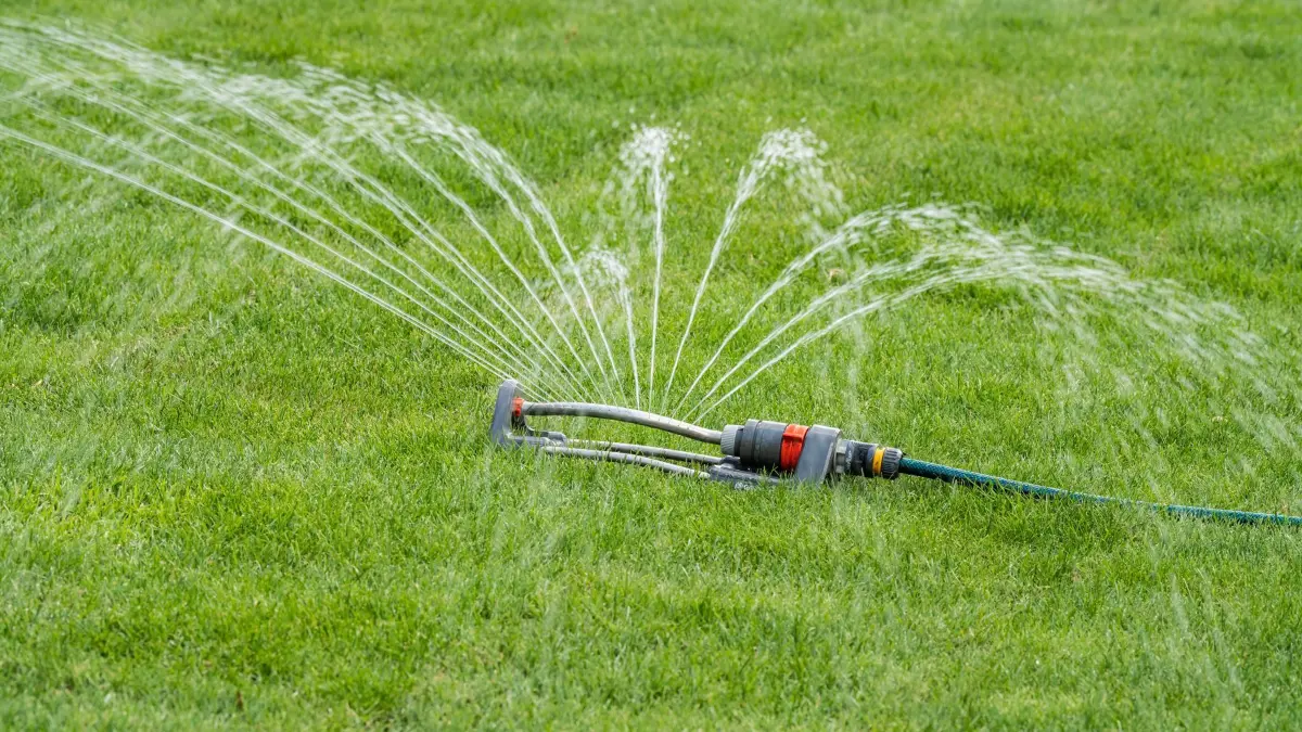 Trinkwasser in Jülich wird knapp: ARCHIV - 16.05.2025, Baden-Württemberg, Baiersbronn: Ein Rasensprenger bewässert vor Beginn der Gartenschau. (zu dpa: «Trinkwasser in Jülich wird knapp») Foto: Silas Stein/dpa +++ dpa-Bildfunk +++