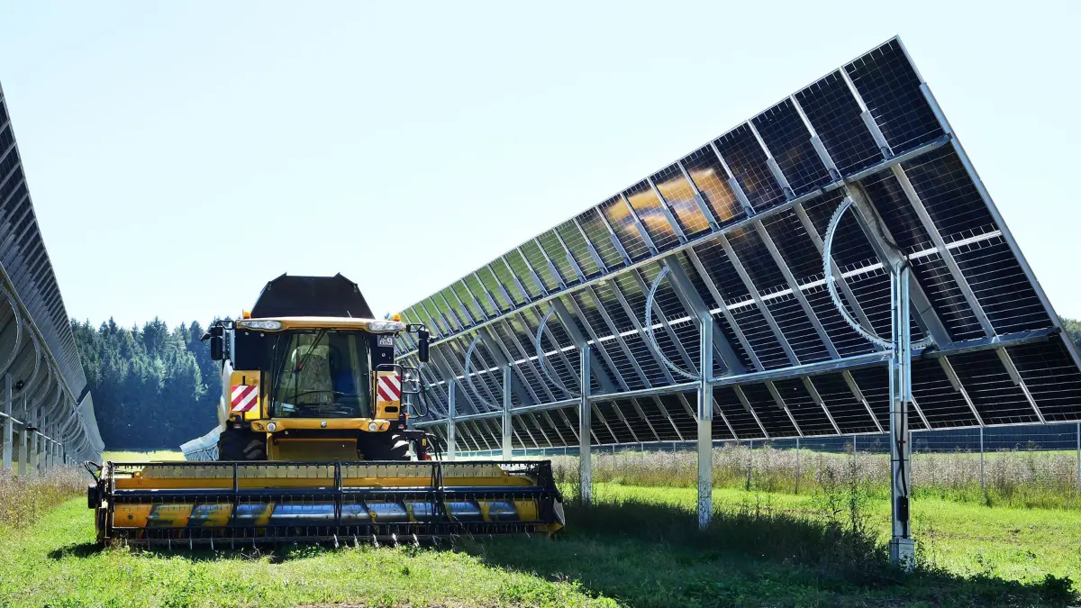 Zwischen den Solarmodulen einer Agri-PV-Anlage (das Bild zeigt die Anlage bei Veringenstadt) ist sogar eine landwirtschaftliche Nutzung möglich.