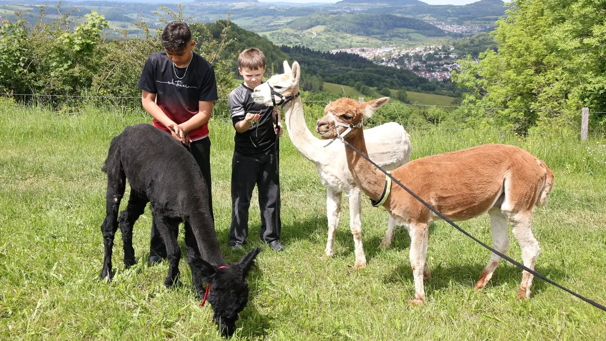 Pestalozzischule Geislingen, Erlebnis AG mit Nicole Schweizer und Prisca Schade, Alpakas.