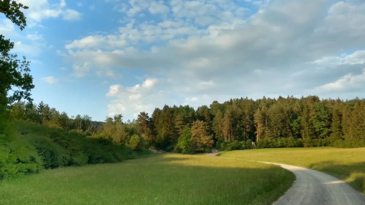 Ein "Energieanker": Bewegung in der Natur senkt den Stresslevel, baut innere Spannungen ab und erfrischt die Gedanken.