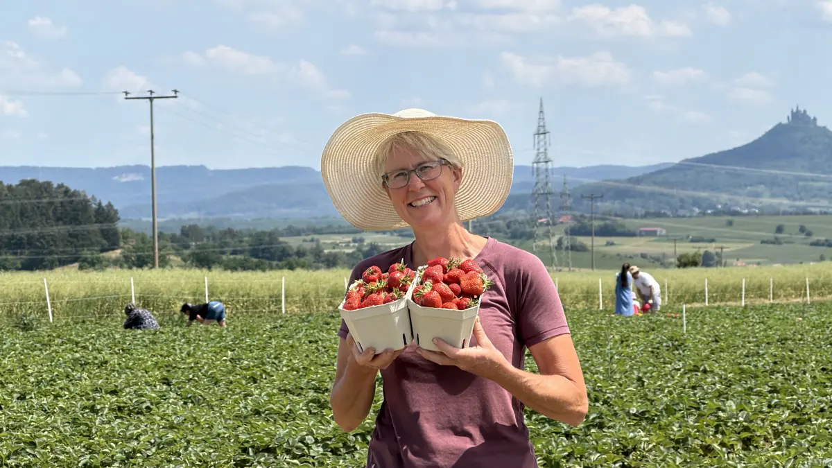 Das Erdbeerfeld von Sibylle Karsch lädt zum Pflücken ein.