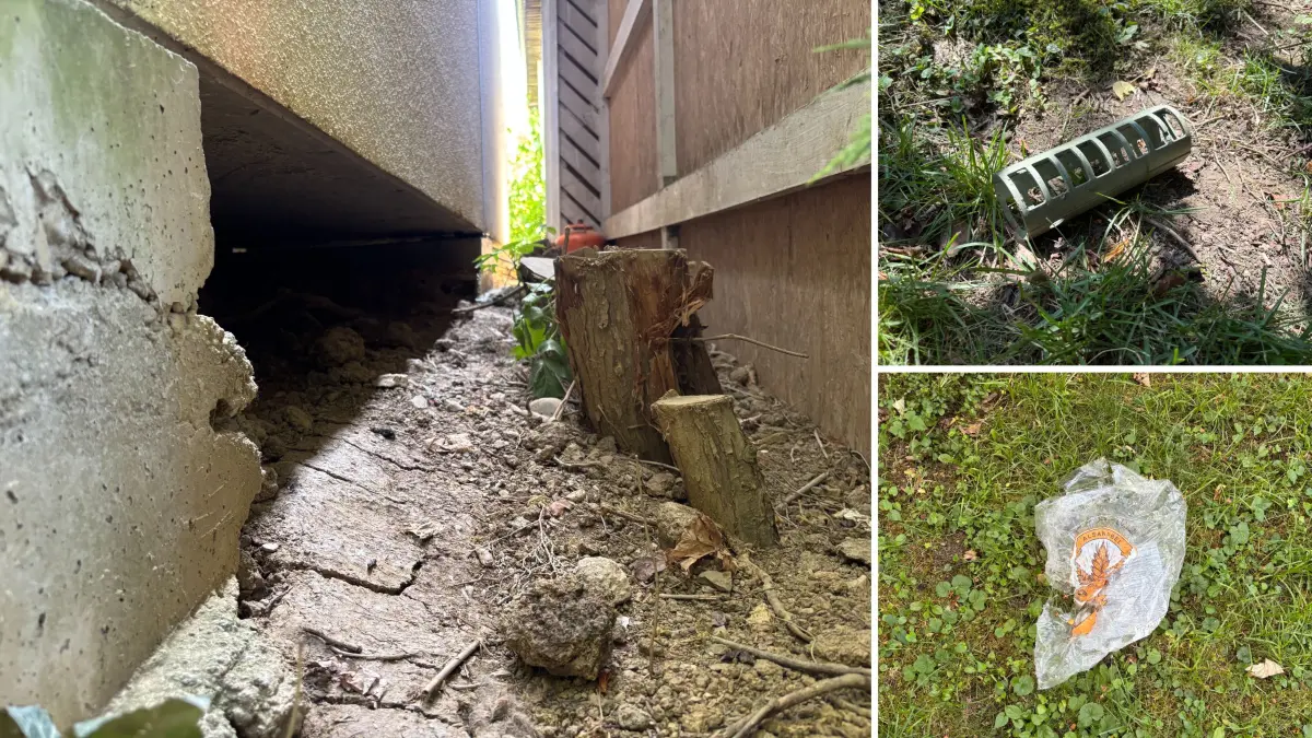 In einem Hohlraum unter einer Doppelgarage hatte sich die Fuchsfamilie ihren Bau eingerichtet. Unweit von dem Bau entfernt finden sich im angrenzenden Garten noch ein Gegenstand aus Plastik, der einer Futtersäule ähnelt, und eine augenscheinlich angeknabberte Tüte.