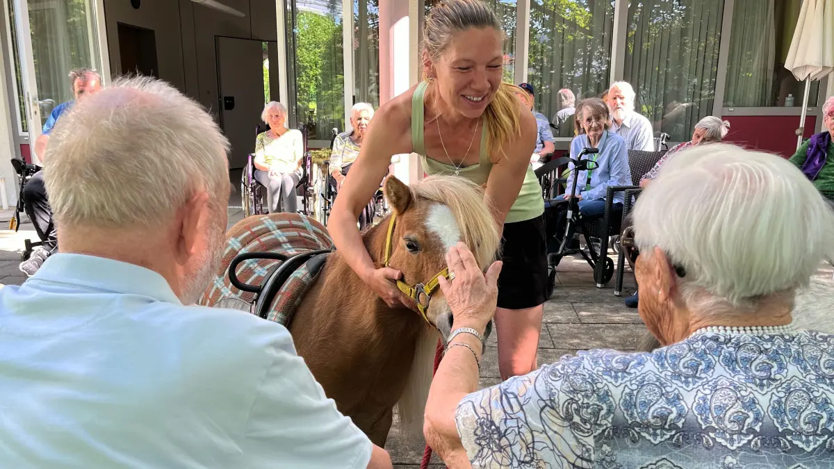 Pony