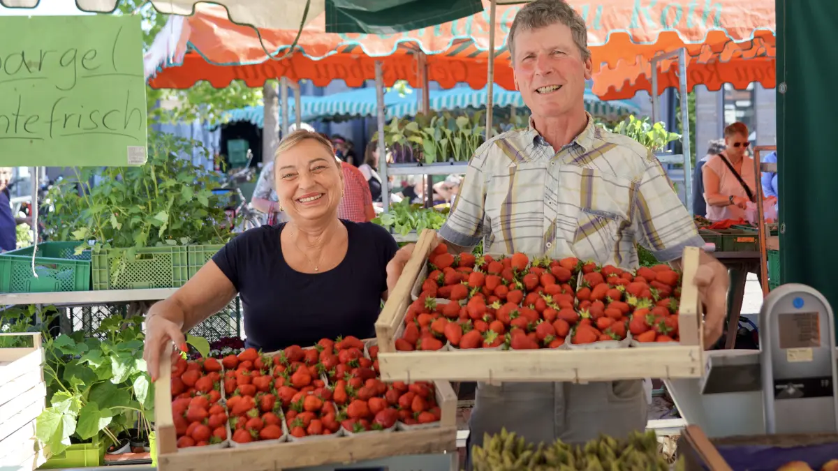 Auf dem Haller Wochenmarkt und in den Lebensmittelgeschäften hat die Erdbeersaison schon vor ein paar Wochen begonnen, wie hier bei Günter Böhringer und Mitarbeiterin Moni Weidner. Freilandfrüchte kommen aber erst in den nächsten Tagen allmählich in den Handel. Foto: Beatrice Schnelle