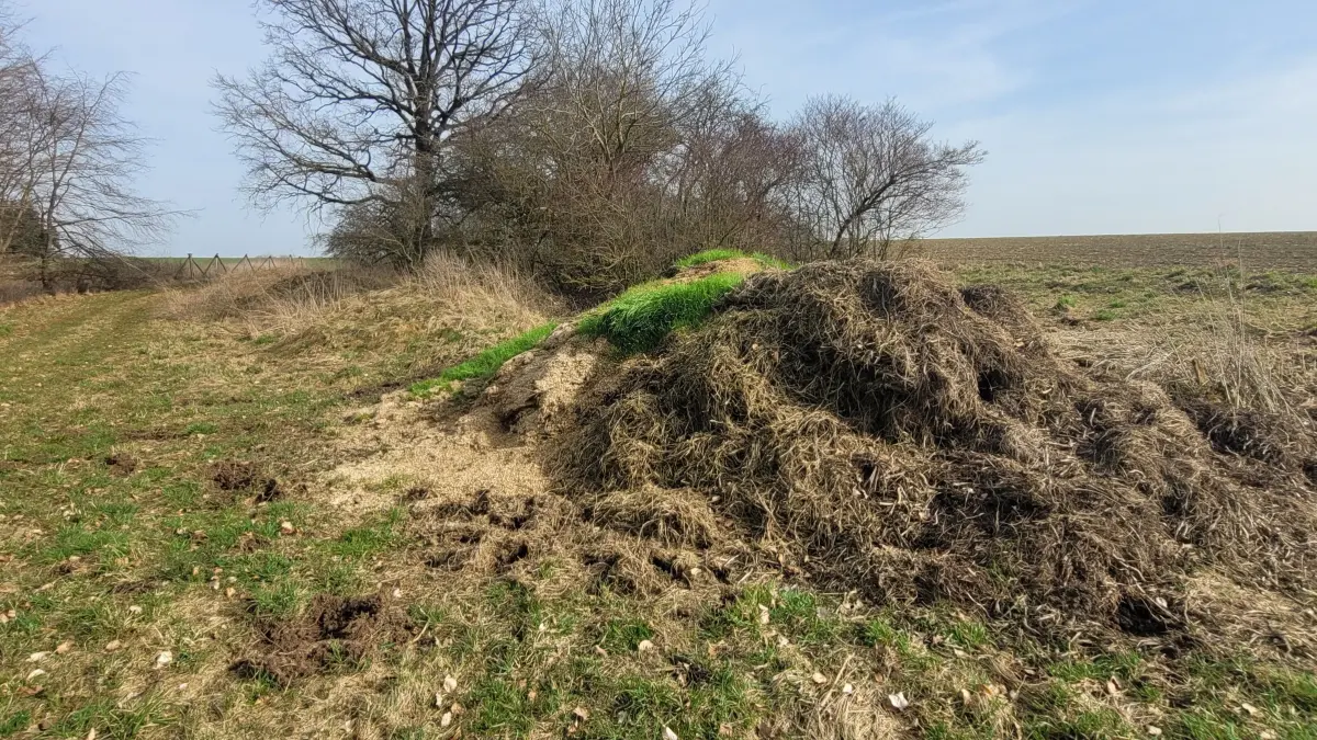 Ein Leser ärgert sich immer wieder über Ablagerungen beim Hagener Tobel. Dem Landratsamt sind die Hände gebunden.