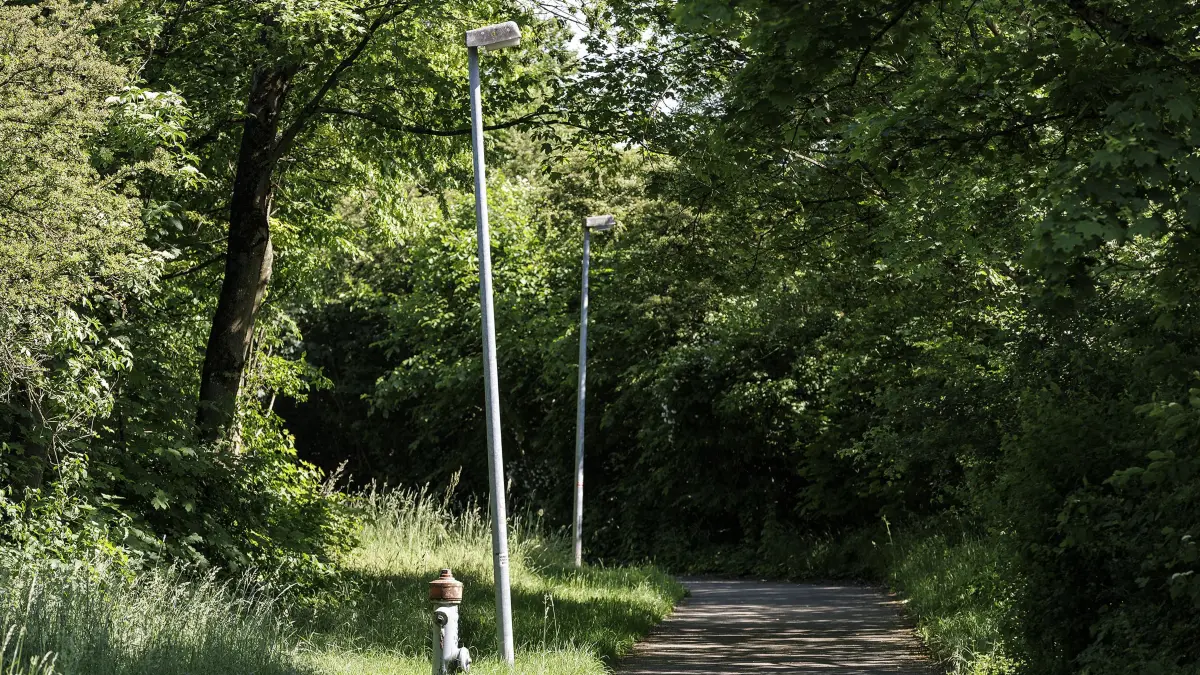 Durch übermäßigen Hundeurin sind mindestens zwei Straßenlaternen, im Schwarzen Weg in Gingen an der Fils, infolge so durch Korrosion so geschädigt, dass diese ausgetauscht werden müssen da sieh drohen umzufallen.